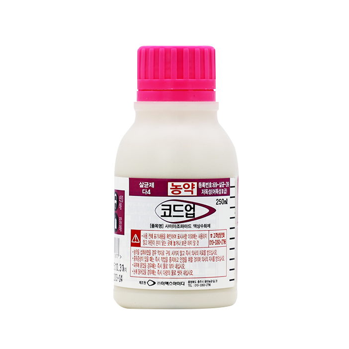 코드업 250ml